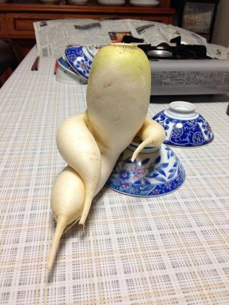 114705-650-1446739373funny-shaped-vegetables-fruits-1