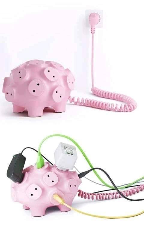 13051723_225543414485728_5144507928835035387_n