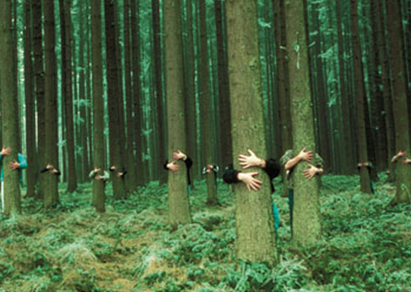 Science-Now-Supports-Tree-Hugging