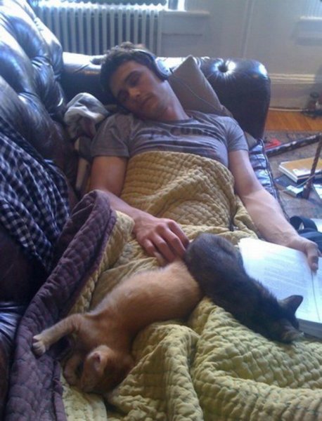 180355-650-1456817243-james-franco-twitter-copie-983349_H112708_L_w650