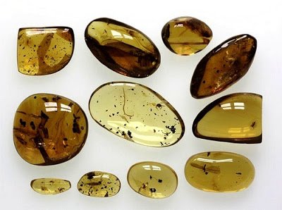 Mexican amber nuggets by National Museums Scotland