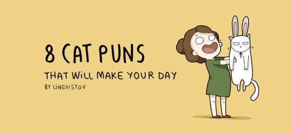 cat-puns-001-57a9d03922c43__880