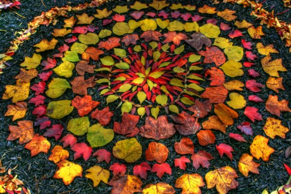 andy-goldsworthy-015